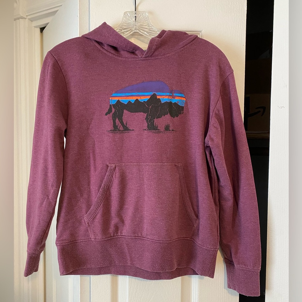 Patagonia hoodie kids size large 12 maroon